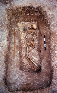 Coffin burial of a female aged 25-35. The New Forest jug (near the skull) was probably placed on the coffin lid.  