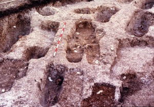 General view of excavated graves